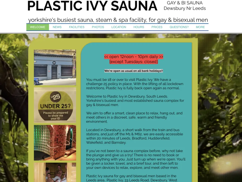 Plastic Ivy Sauna Dewsbury