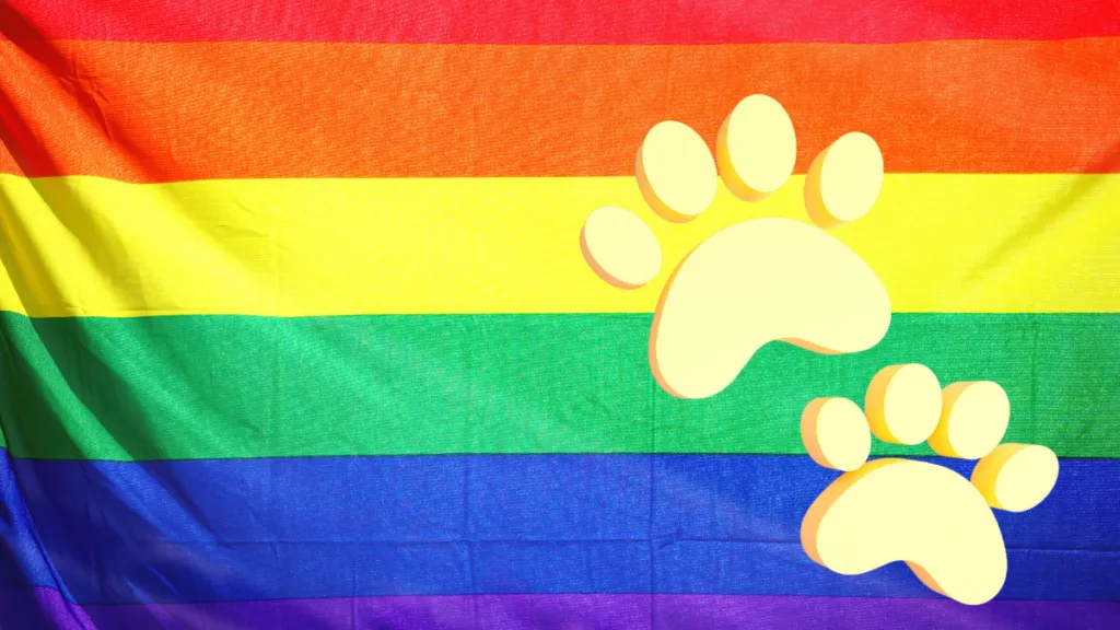 The Gay Bears FAQ